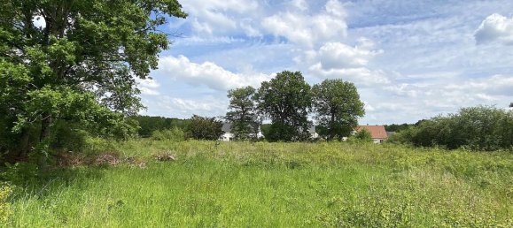 Grundstück in Vitry-aux-Loges, France 6068m², Nr. 73818 5