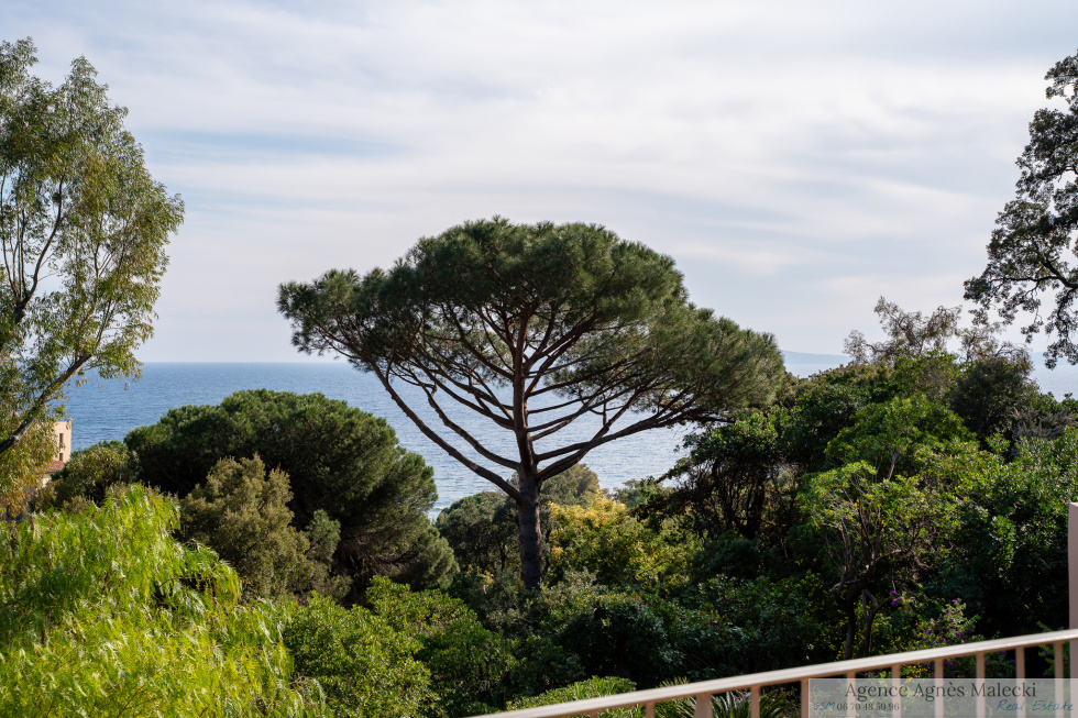 4 bedrooms Villa in Rayol-Canadel-sur-Mer, France No. 99990