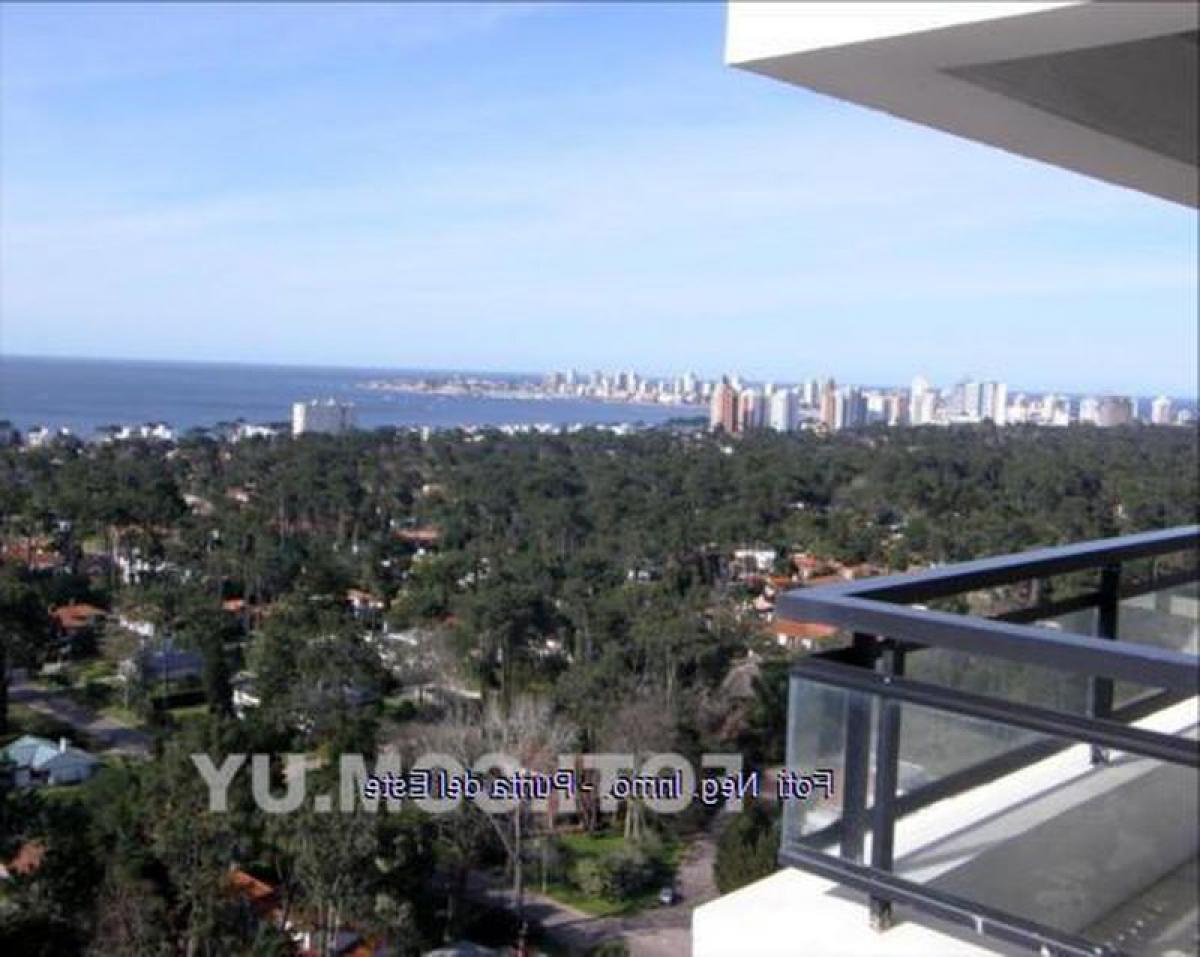 Apartamento de 2 dormitorios en Punta del Este, Uruguay No. 3223