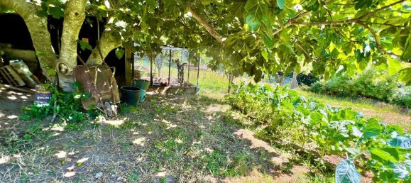 6 bedrooms House in Manteigas, Portugal No. 27464 22