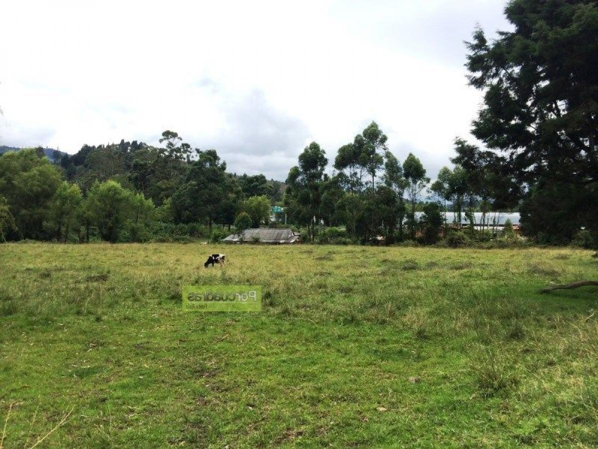 Grundstück in Antioquia, Colombia, Nr. 573