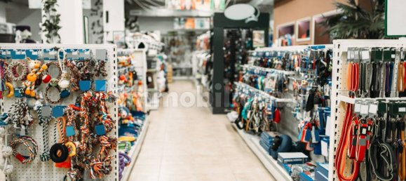 4-Zimmer Gewerbliche Immobilie in Pavia, Italy, Nr. 117420 10