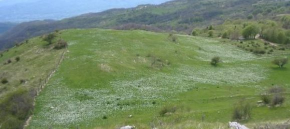 11غرفة منزل في Berceto, Italy رقم 24620 10