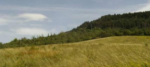 11غرفة منزل في Berceto, Italy رقم 24620 6