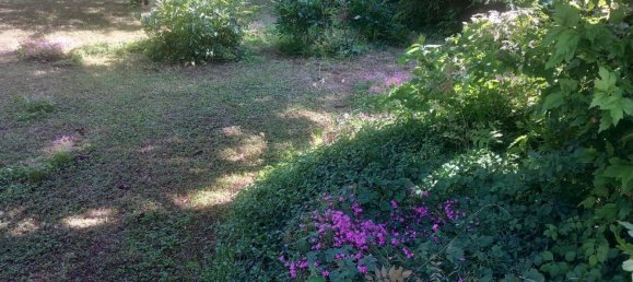 7 chambres Maison à Riva del Po, Italy No. 322773 24