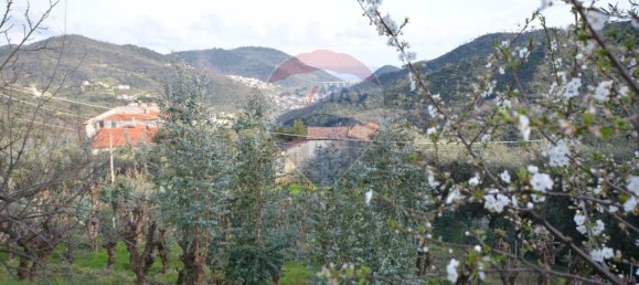 4 bedrooms House in Magliolo, Italy No. 36930 47