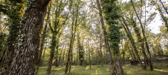 4 bedrooms House in Dordogne, France No. 323752 15