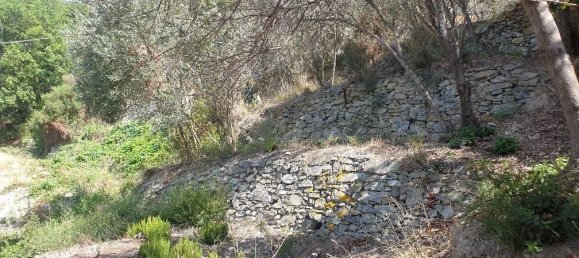 1500m² Land in Finale Ligure, Italy No. 162433 8