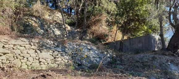 1500m² Land in Finale Ligure, Italy No. 162433 12