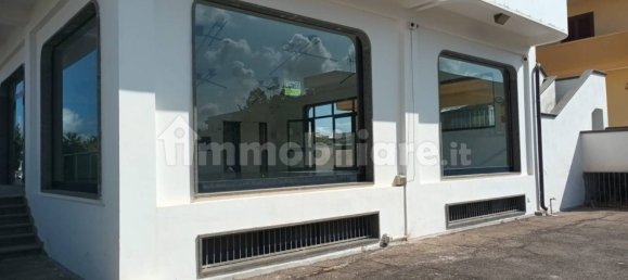 2 rooms Commercial property in San Pancrazio Salentino, Italy No. 233488 6