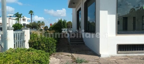 2 rooms Commercial property in San Pancrazio Salentino, Italy No. 233488 16