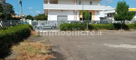 2 rooms Commercial property in San Pancrazio Salentino, Italy No. 233488 7