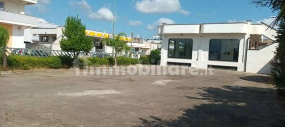 2 rooms Commercial property in San Pancrazio Salentino, Italy No. 233488 28