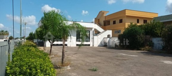 2 rooms Commercial property in San Pancrazio Salentino, Italy No. 233488 22