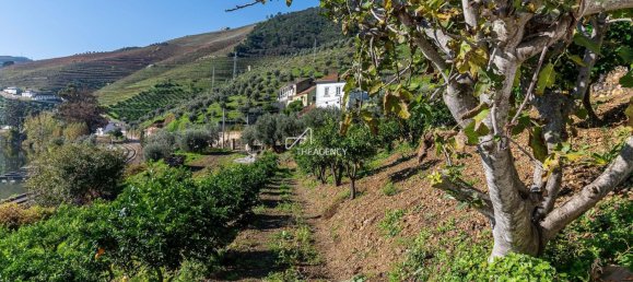 6 Schlafzimmer Grundstück in Peso da Regua, Portugal, Nr. 139654 16