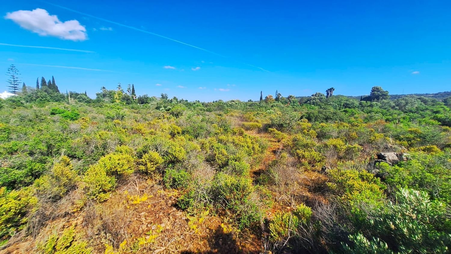 Grundstück in Silves, Portugal, Nr. 218852