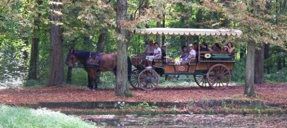 2 Schlafzimmer Wohnung in Fontainebleau, France, Nr. 334152 8