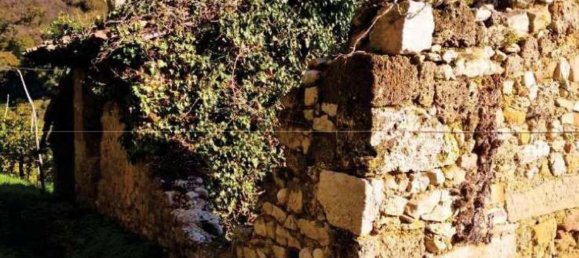 8322m² Land in Farra di Soligo, Italy No. 55066 2