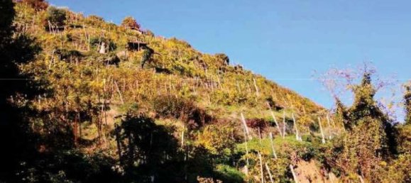 8322m² Land in Farra di Soligo, Italy No. 55066 17