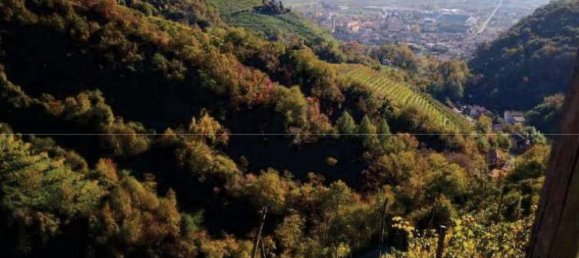 8322m² Land in Farra di Soligo, Italy No. 55066 12