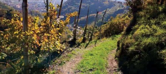 8322m² Land in Farra di Soligo, Italy No. 55066 6