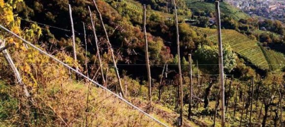 8322m² Land in Farra di Soligo, Italy No. 55066 14