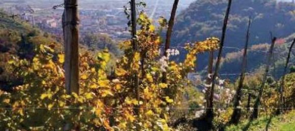 8322m² Land in Farra di Soligo, Italy No. 55066 7