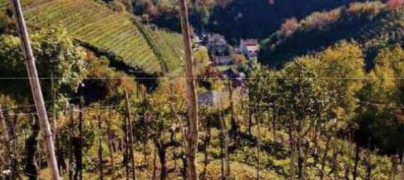 8322m² Land in Farra di Soligo, Italy No. 55066 18