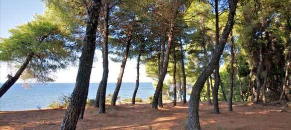 240m² Townhouse in Chalkidiki, Greece No. 6157 15