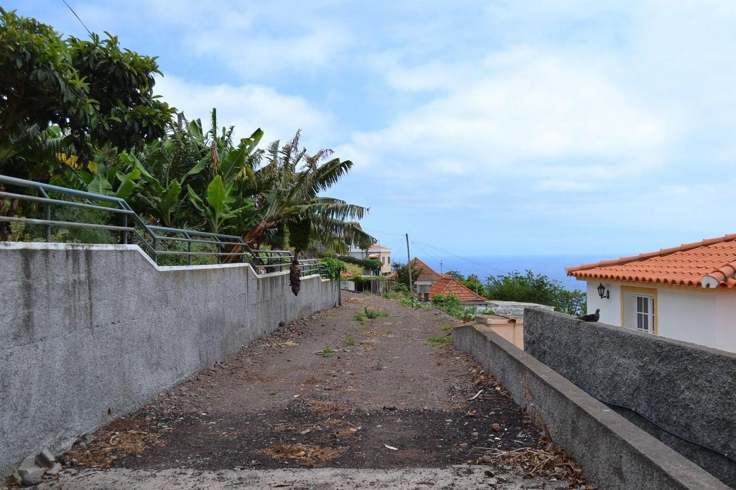 Terrain à Funchal, Portugal 3000m² No. 143448