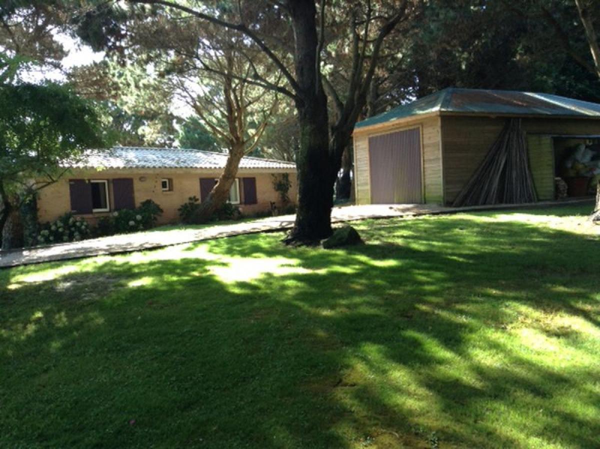  Farm in Maldonado, Uruguay No. 14748