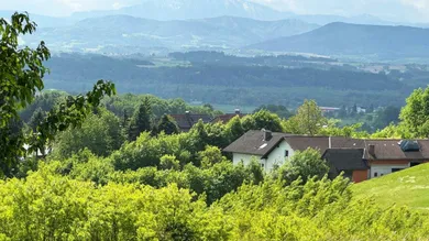 Terrain à St. Martin-Karlsbach, Austria No. 42694