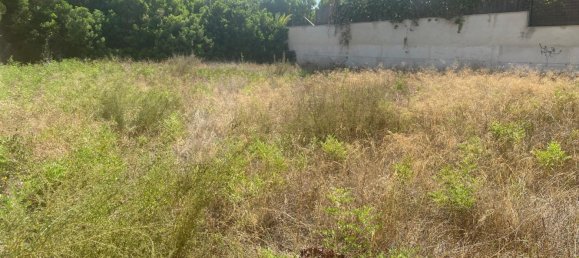 1 room Land in Alicante, Spain No. 146893 10