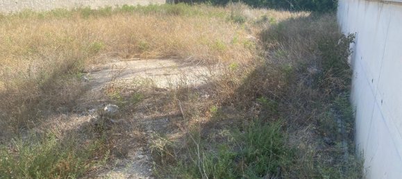 1 room Land in Alicante, Spain No. 146893 7