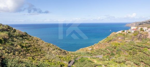 4 غرف نوم منزل في Ribeira Brava, Portugal رقم 178633 2