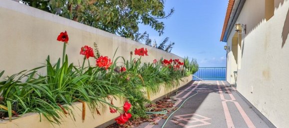 4 غرف نوم منزل في Ribeira Brava, Portugal رقم 178633 49