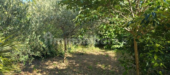 Casa T3 em Cingoli, Italy N.º 293156 33