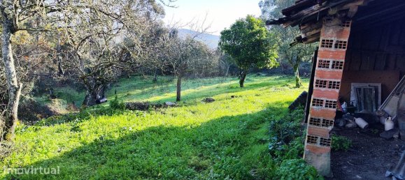 3 bedrooms House in Ansiao, Portugal No. 23098 20