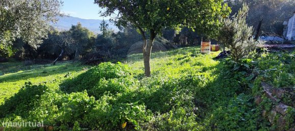 3 bedrooms House in Ansiao, Portugal No. 23098 21