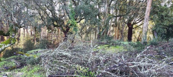 3 bedrooms House in Ansiao, Portugal No. 23098 16