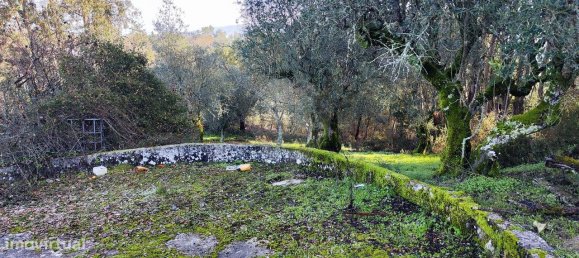 3 bedrooms House in Ansiao, Portugal No. 23098 17