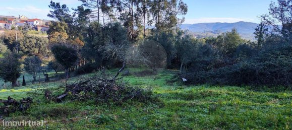 3 bedrooms House in Ansiao, Portugal No. 23098 18