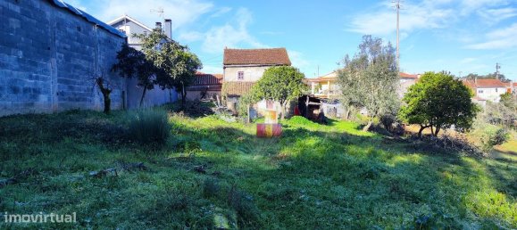 3 bedrooms House in Ansiao, Portugal No. 23098 5