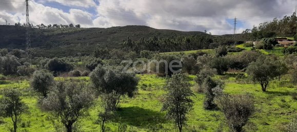 Земельный участок 177500м² в Мешильоейра Гранде, Португалия № 153638 7