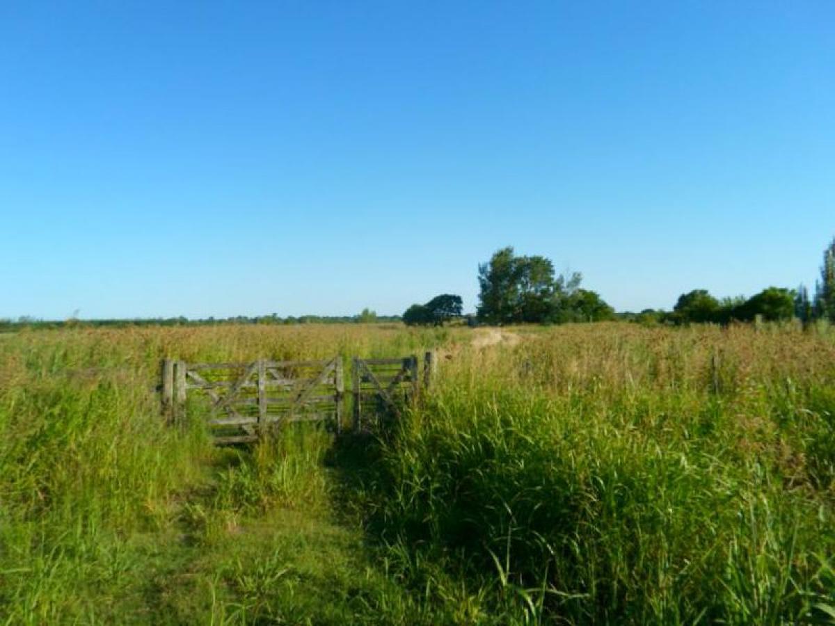 Grundstück in Santa Fe, Argentina, Nr. 50421