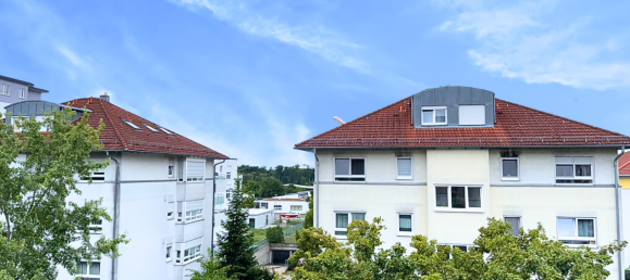 Apartamento de 1 dormitorio en Hohenlohe, Germany No. 263016 13