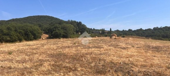 Terrain à Trevignano Romano, Italy 36000m² No. 280559 2