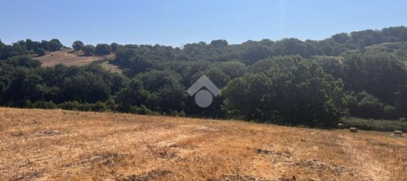 Terrain à Trevignano Romano, Italy 36000m² No. 280559 3