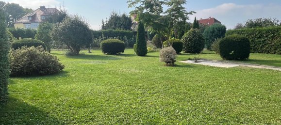 4-salle Maison de ville à Harz, Germany No. 168292 8