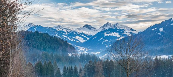 3 chambres Maison à Kitzbuhel, Austria No. 64260 17